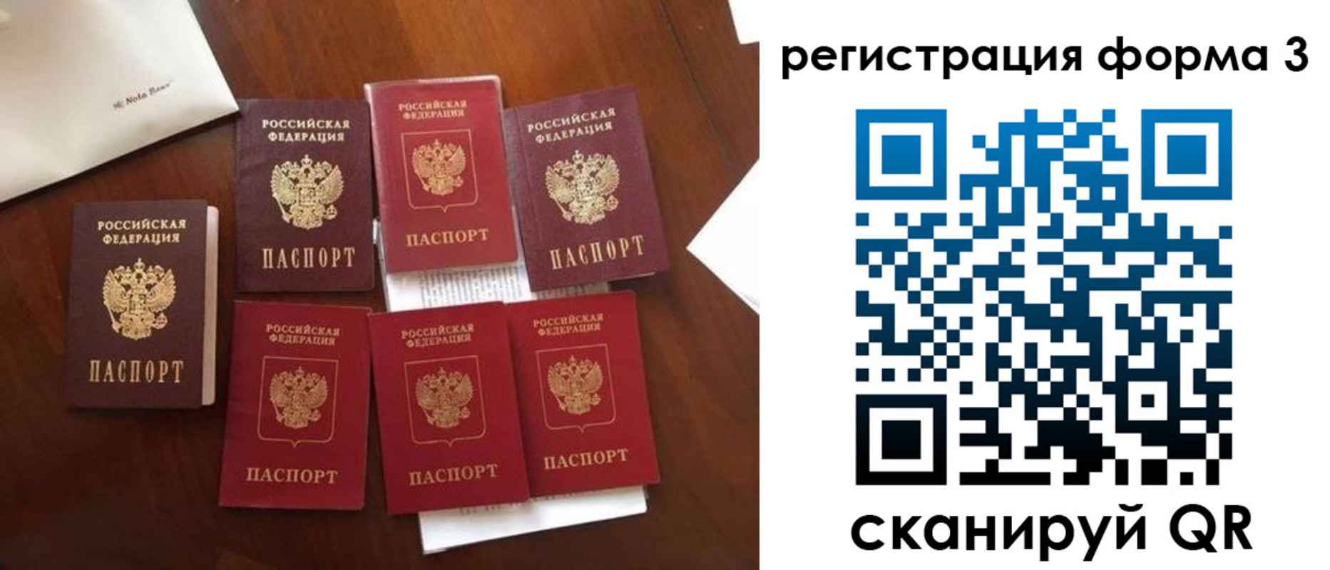 прописка 2025 в Щёкино